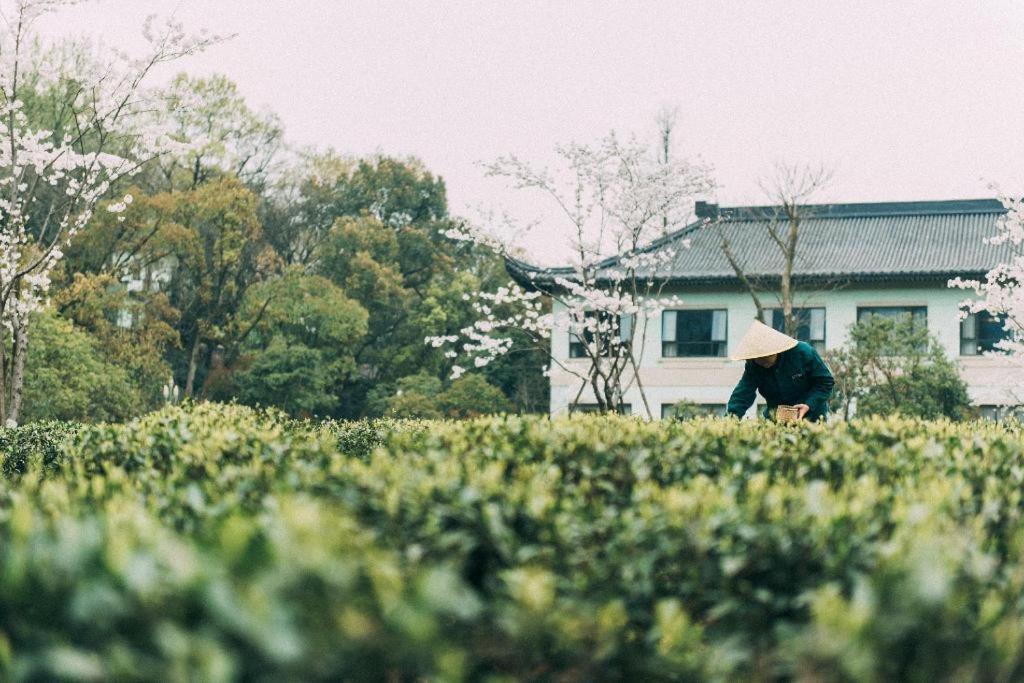 Zhejiang Xizi Hotel Hangzhou Eksteriør billede