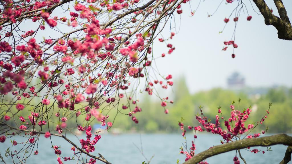 Zhejiang Xizi Hotel Hangzhou Eksteriør billede